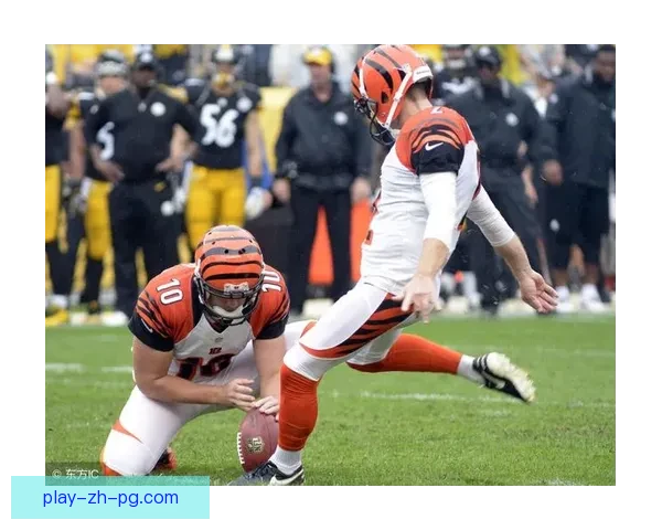 学习橄榄球：入门指南及技巧分享