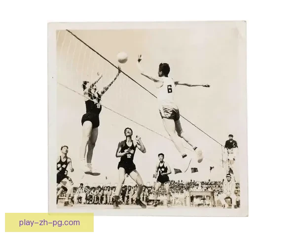 排球背后的传奇故事：记录影响深远的排球历史
