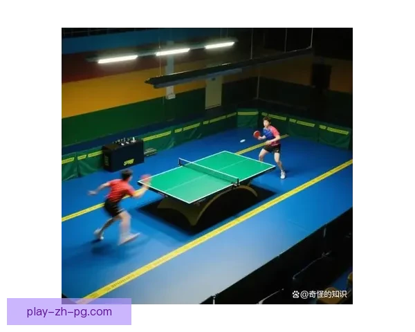 探讨乒乓球比赛中技术与战术的完美结合