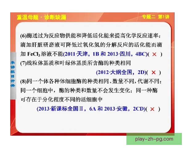 柔道规则解析：技术、战术与精神实践