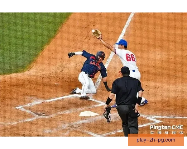 激情燃烧！探秘棒球大奖赛的背后故事