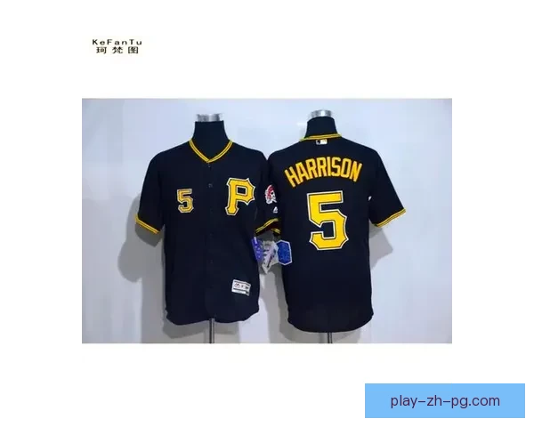 百年棒球传奇:记录与传承 百年棒球传奇:记录与传承