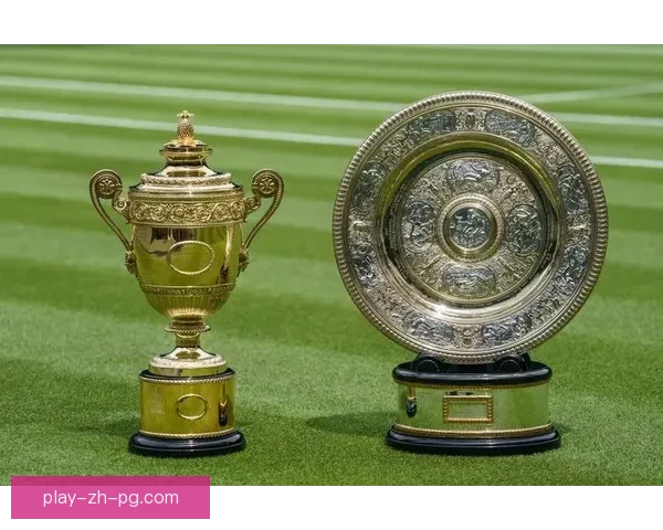 网球锦标赛:挑战巅峰,荣耀登场 网球锦标赛:挑战巅峰,荣耀登场