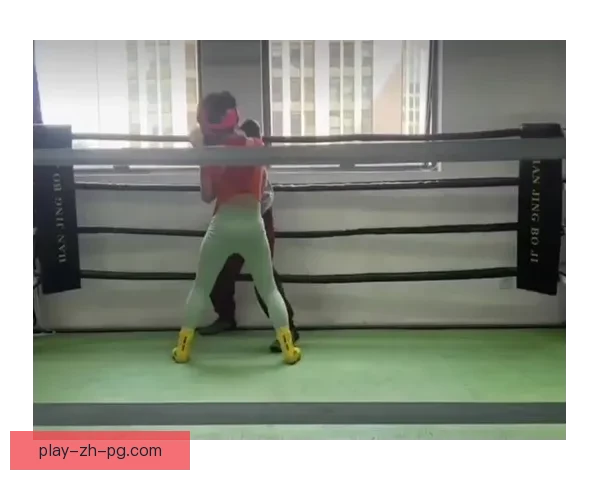 精彩拳击教学视频大全推荐 精彩拳击教学视频大全推荐