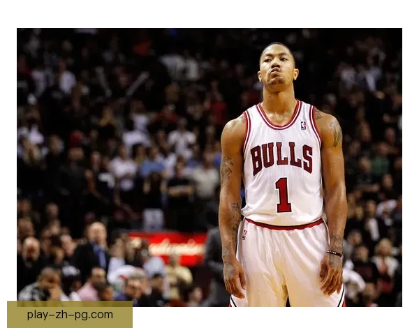 绽放擂台光芒：拳坛巨星的辉煌征程