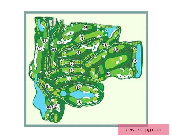 高尔夫赛程全攻略：挑战不同球场，争夺高手之位